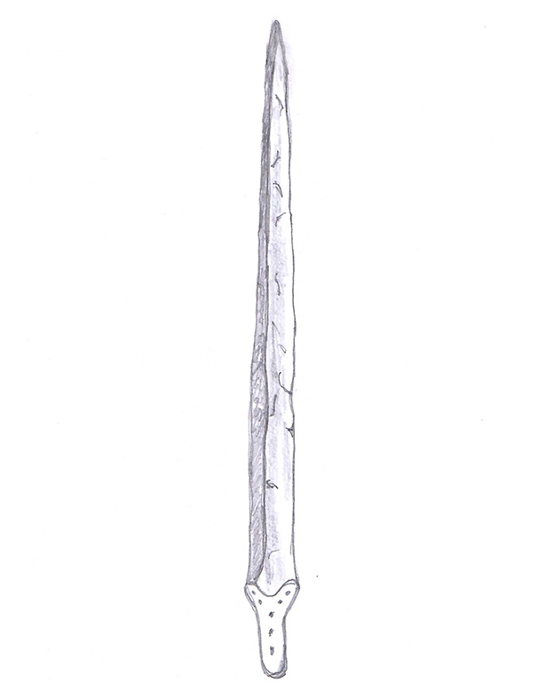 Disegno tratto dalla spada originale